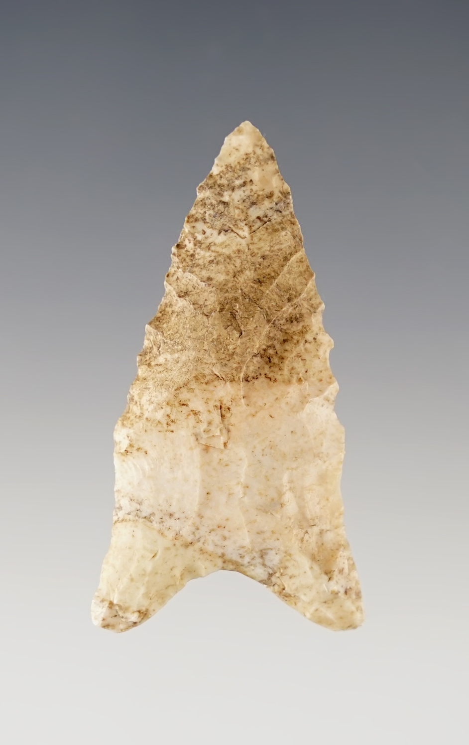 1 15/16" well patinated Dalton found in Southern Illinois.