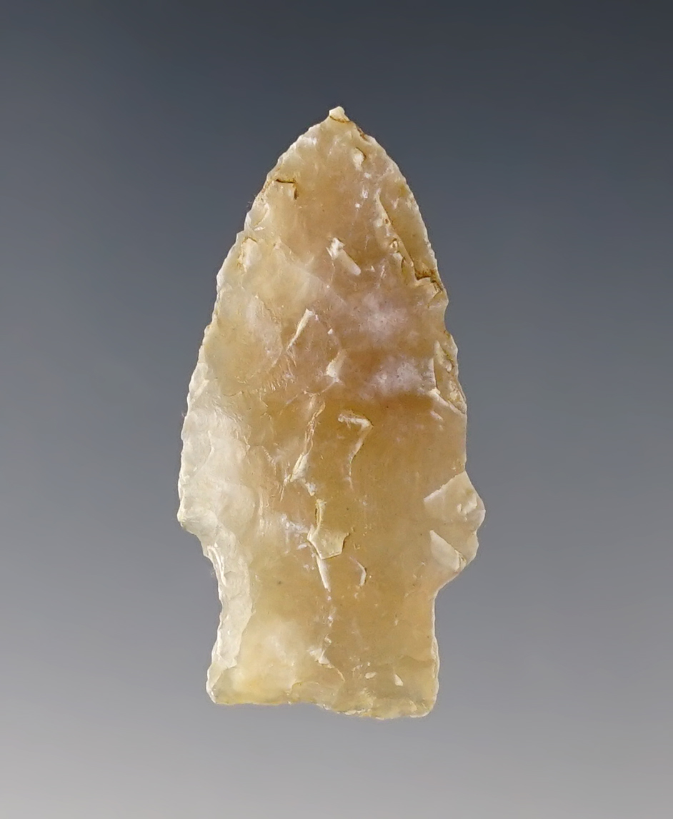 1 7/16" Scottsbluff - beautiful translucent Chalcedony. Morgan Co., Colorado. Stermer COA.