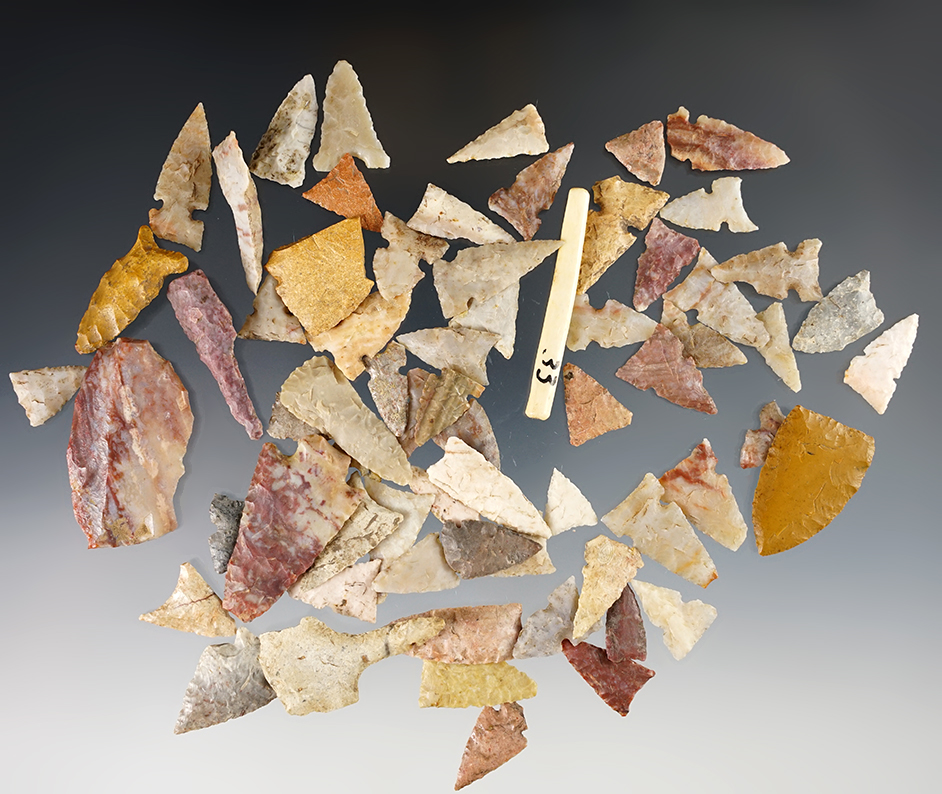 Large group of 60+ colorful Kansas points. The largest is 1 13/16".