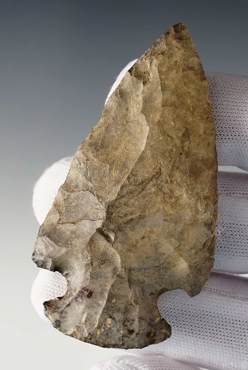 2 3/4" Hopewell found in the Midwestern U.S. Made from heavily patinated Chert.