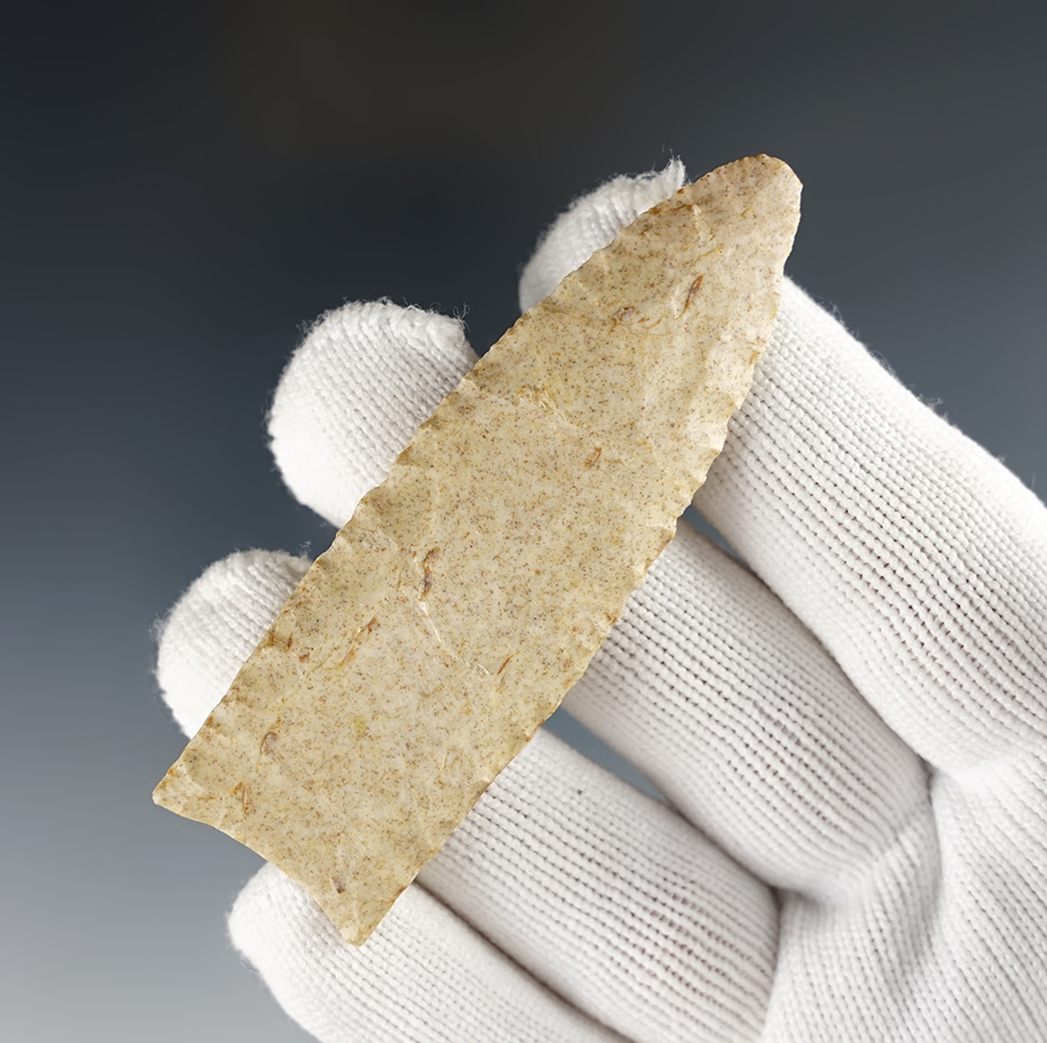 2 7/8" Paleo Fluted Clovis - Shane Wallace in a Rock Shelter, Madison Co., Arkansas. COA.