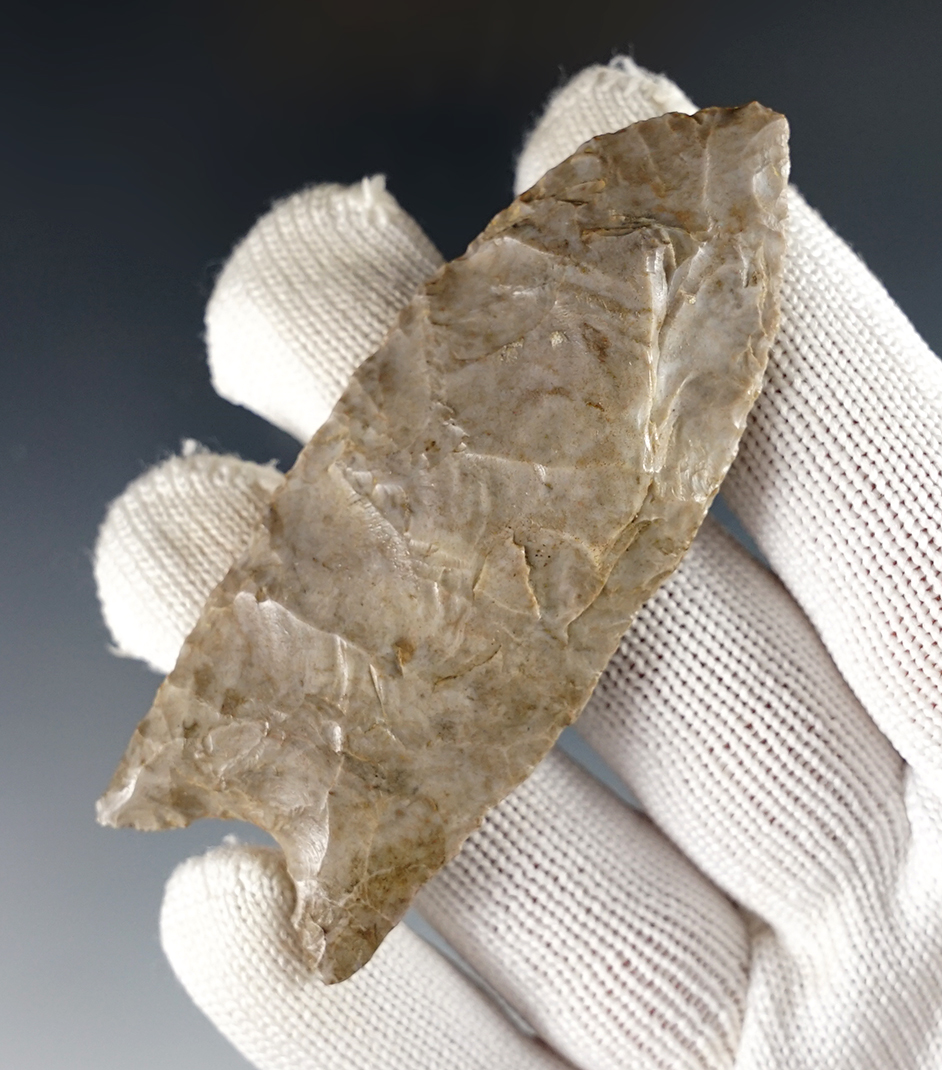 2 13/16" Paleo Fluted Clovis - Indiana. One face has a stack, but displays well. Ex. David Ramp. 