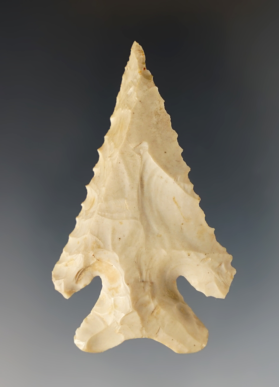 Beautiful beveling and serrations  2 9/16" Archaic Thebes Bevel - Flint Ridge Flint. Ohio.