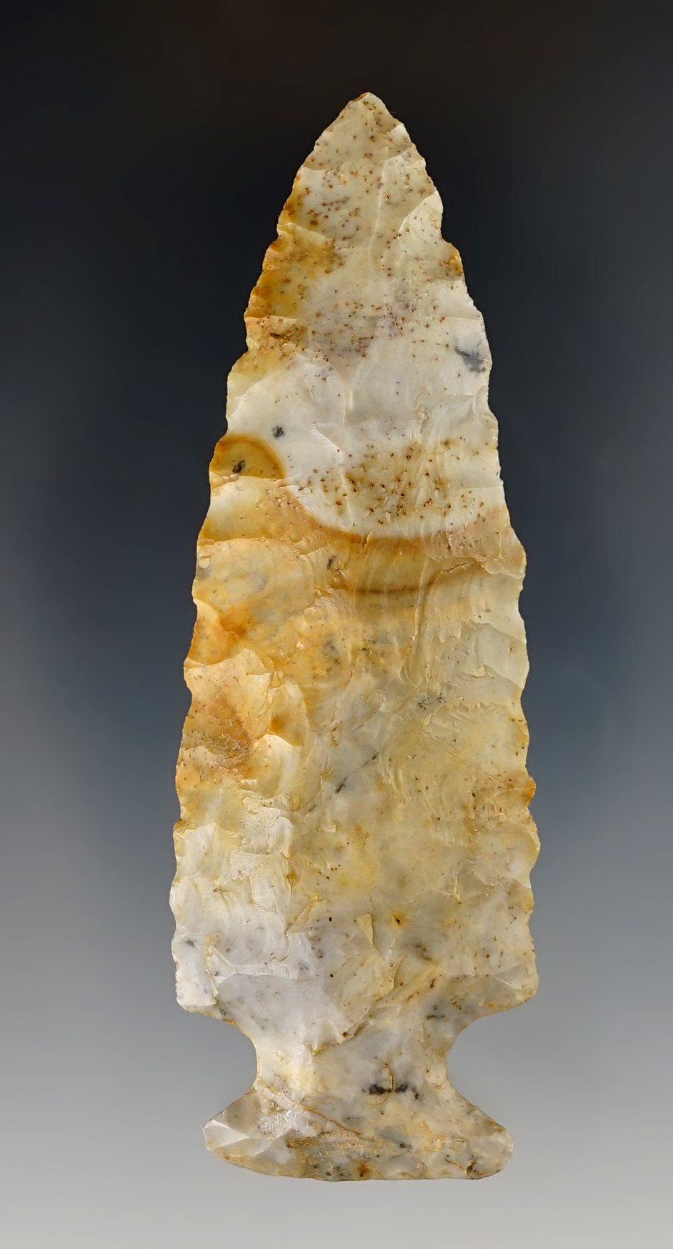3 5/8" classic Archaic Fishspear - Coshocton Flint. Found in Crawford Co., Ohio.
