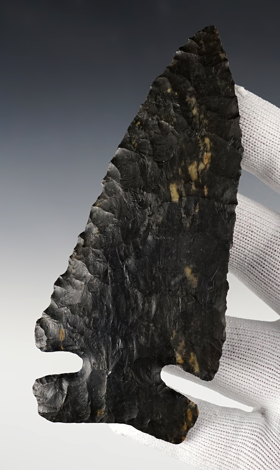 Large 4 15/16" Archaic Sidenotch made from Coshocton Flint - Ohio. Bennett COA.