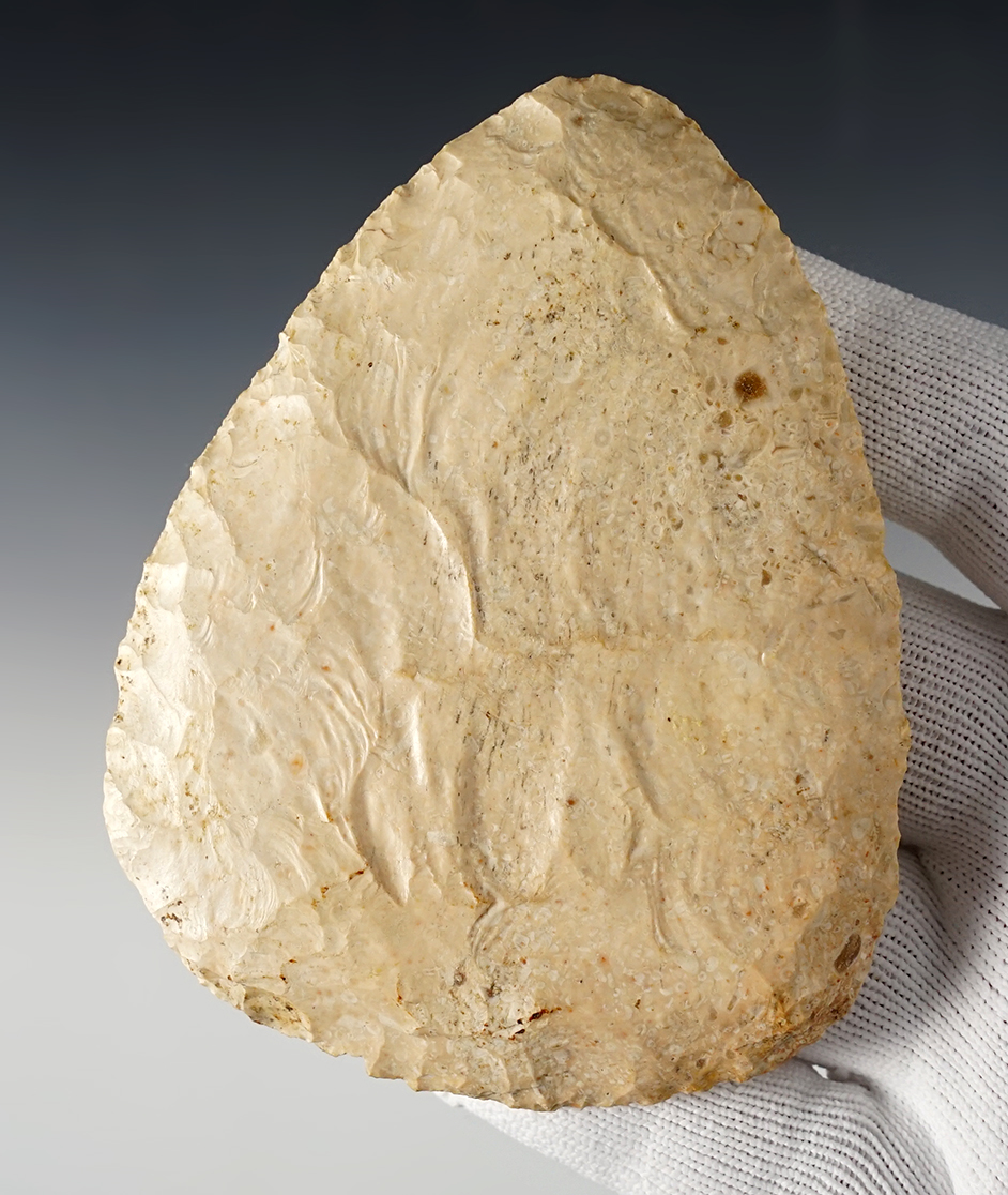 4 1/16" North Blade in excellent condition. Found in Lincoln Co., Missouri. 