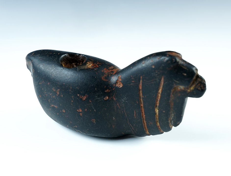 Large 5 7/8" black Royal Canopa - offering still  in hole -  Hardstone. Ex. Dowell. 