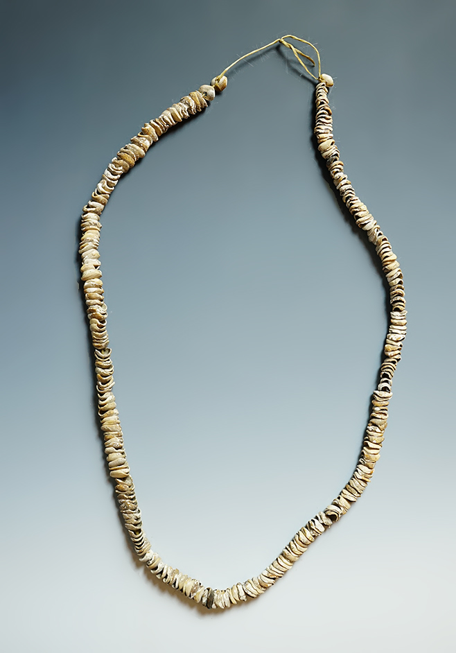 36" strand Necklace of drilled Olivera Shell Beads - California. COA. 