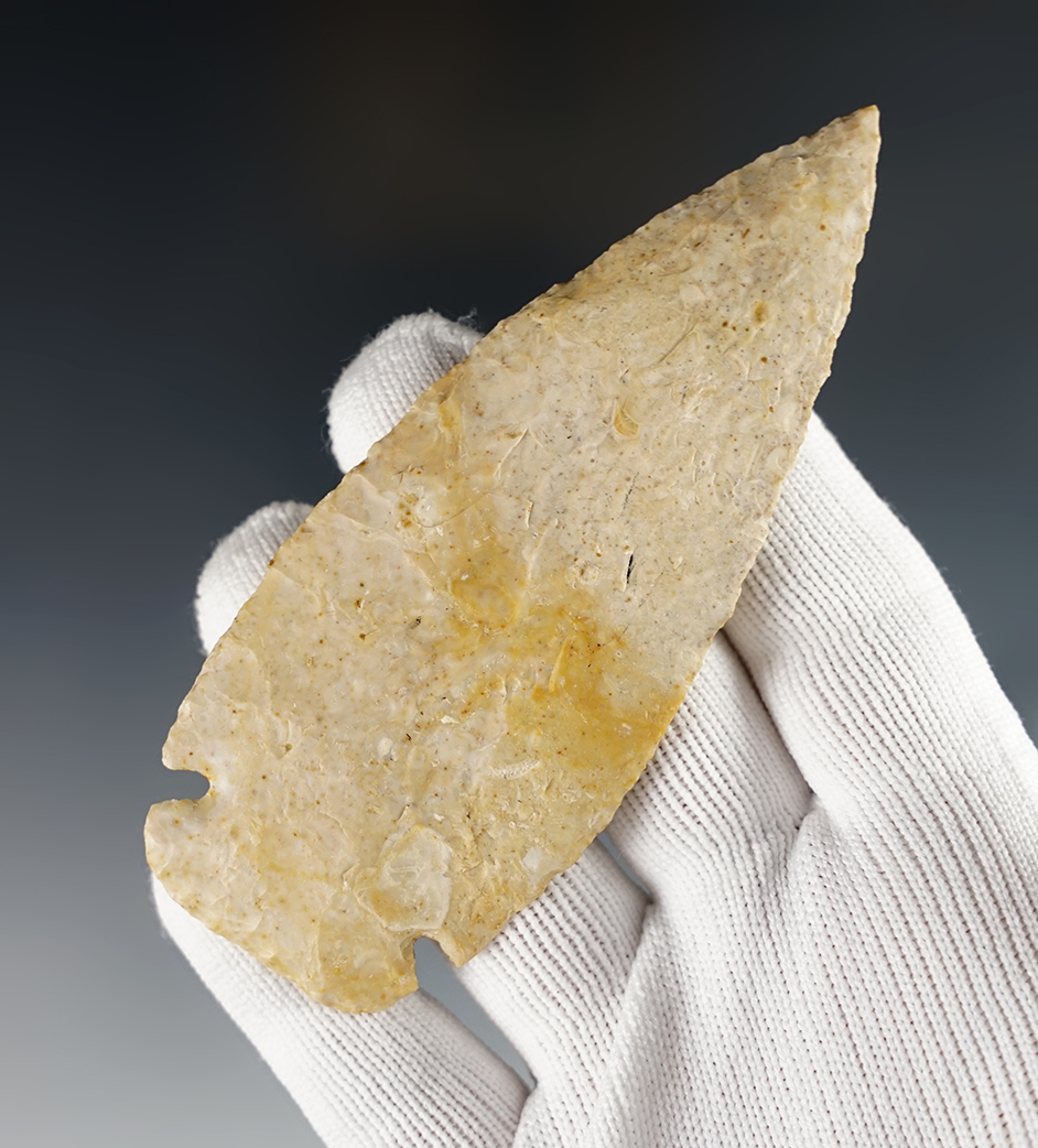 4 1/16" Dovetail  excellent basal grinding. Scott Co., Illinois. Ex. Dudkewitz. Bennett COA.