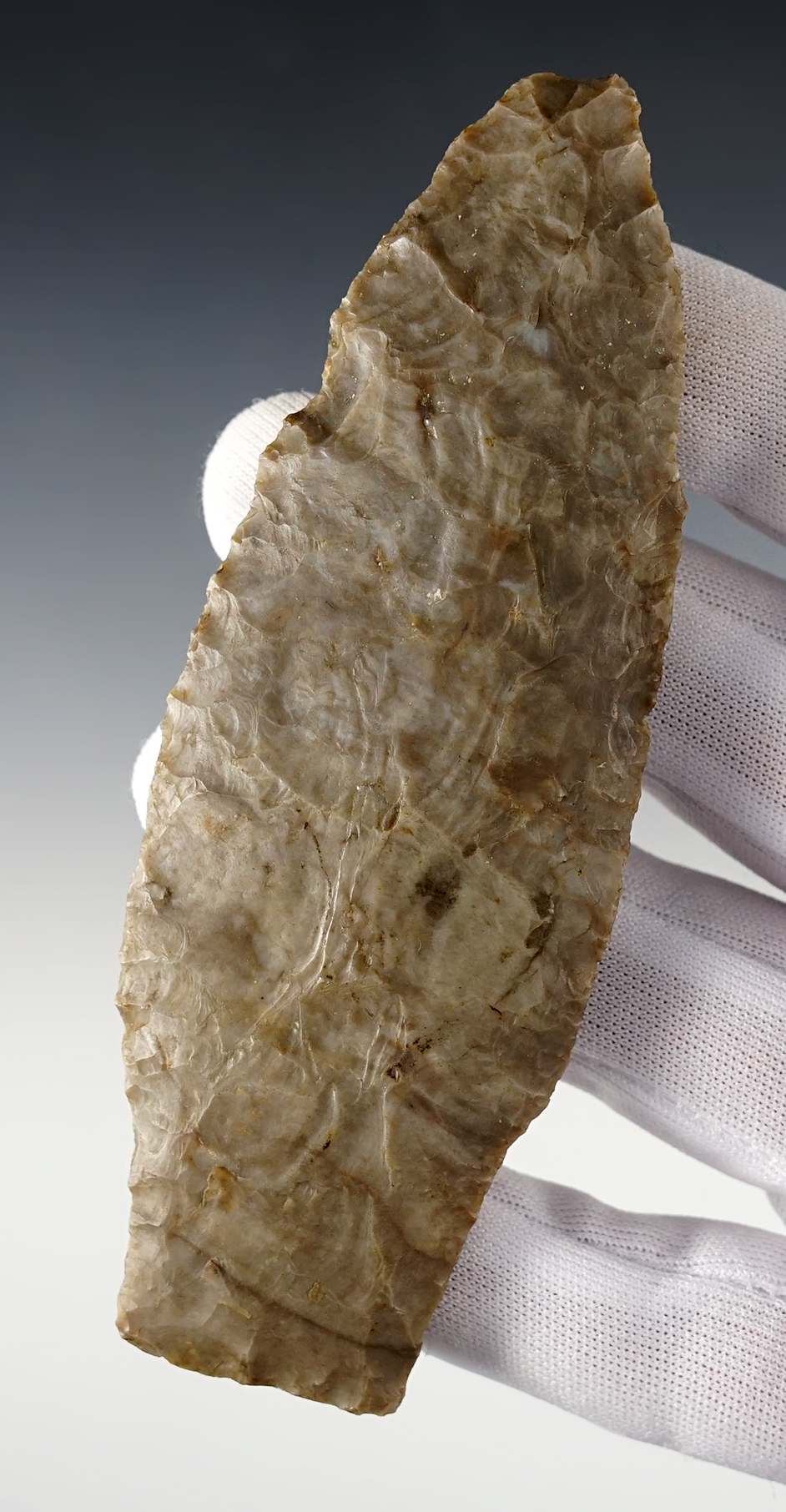 Large 4 13/16" Stemmed Paleo Lance found near Prospect, Marion Co., Ohio. Coshocton Gray Flint.