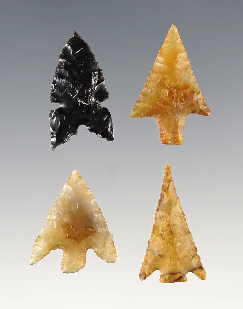 Set of 4 assorted Points found near the Columbia River in Washington. Ex. Billy Bush. 