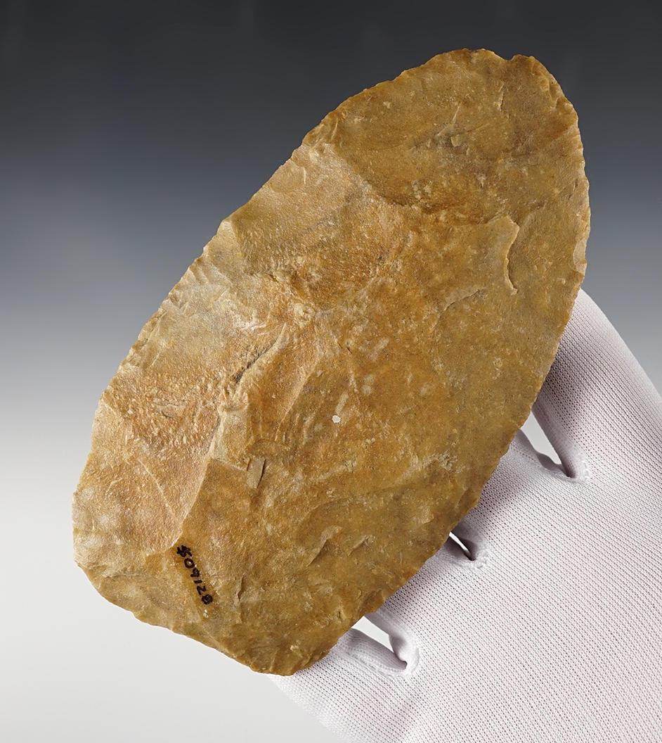 Large 5 1/2" Blade found in the Southern U.S. Nicely patinated.