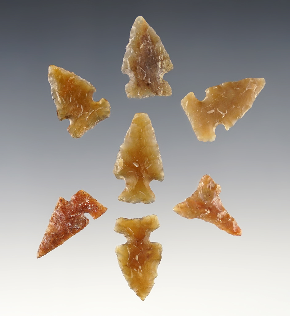 Set of 7 nicely made Knife River Flint Points found by Larry Street in Sully Co., South Dakota. 