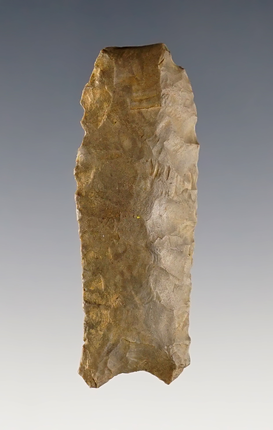 2" Unfluted Cumberland with ancient tip damage. Found in Southern Kentucky. 