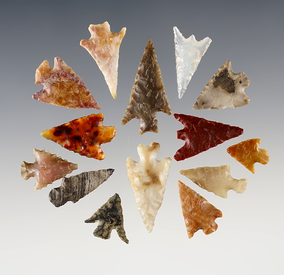 Set of 14 assorted Points found near the Columbia River in the Washington/Oregon area. 