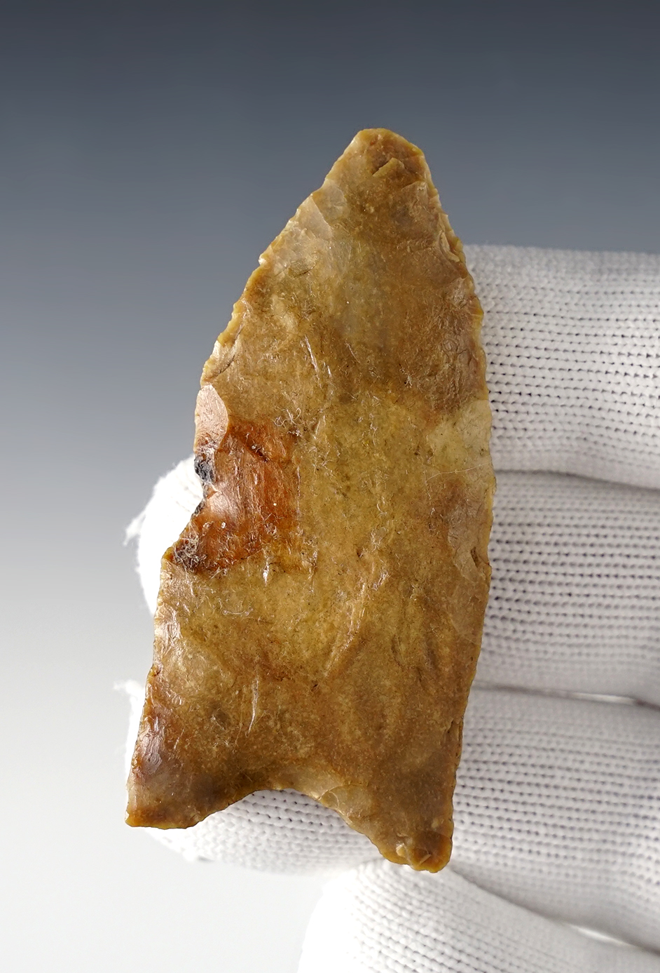 2 9/16" unfluted Paleo. Found in the Midwest. Has a side ding.