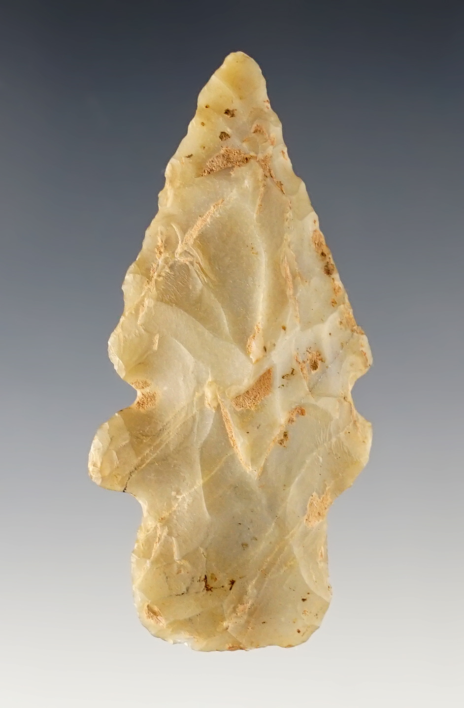 2 7/16" Evans in nice condition. Found in the Arkansas area.