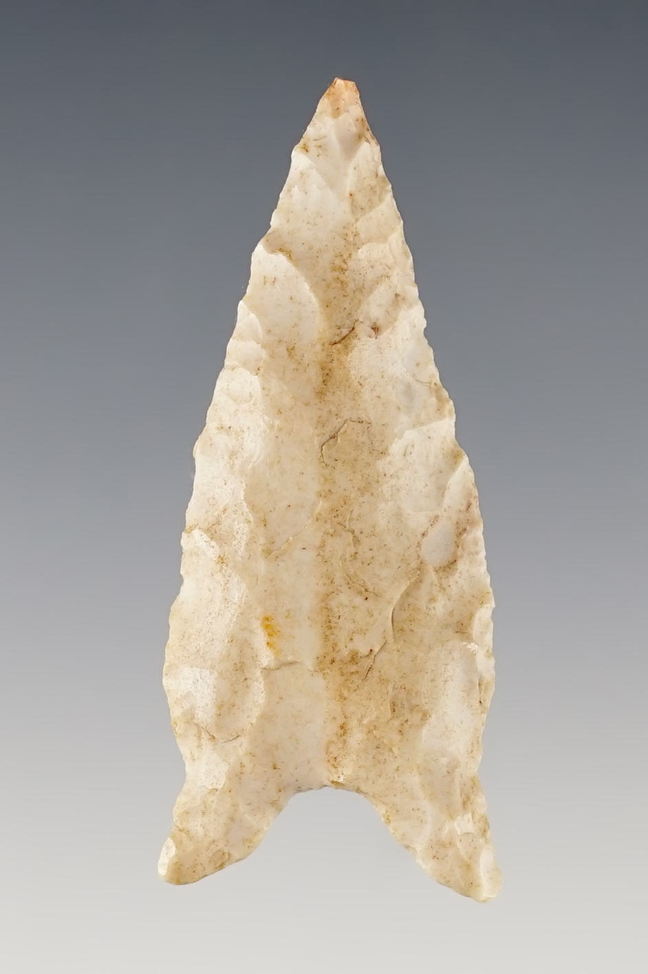 Well styled 2 1/4" Southern Illinois Dalton point made from white Chert.