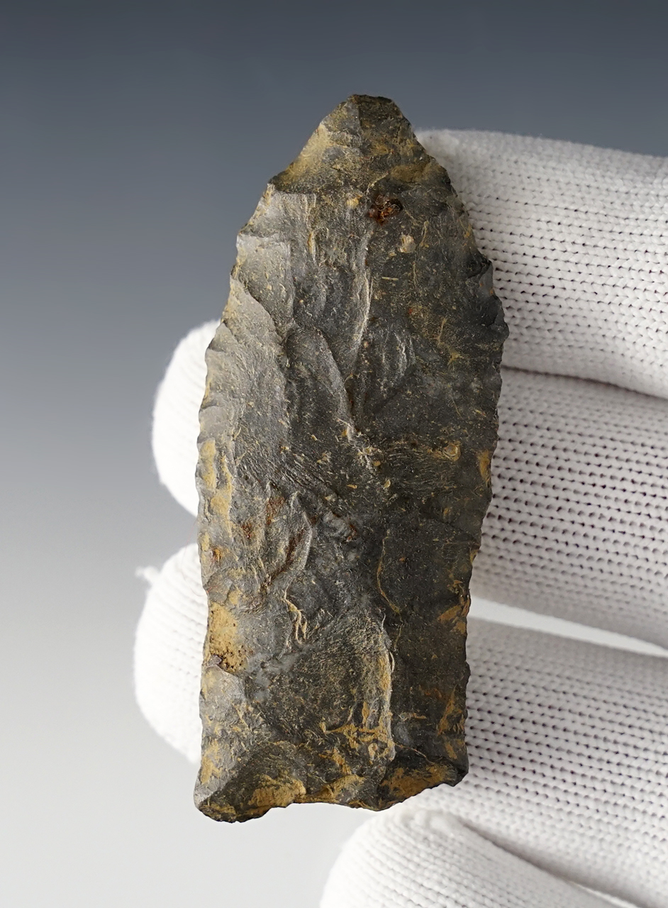 2 9/16" Paleo Point found in Coshocton Co., Ohio. Made from patinated Nellie Chert. 