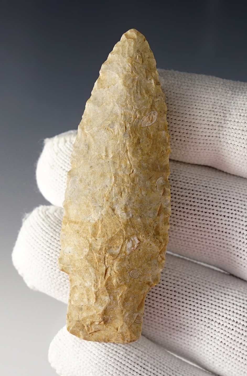 2 13/16" Scottsbluff with a heavy ground stem area. Found in Tulsa Co., Oklahoma.