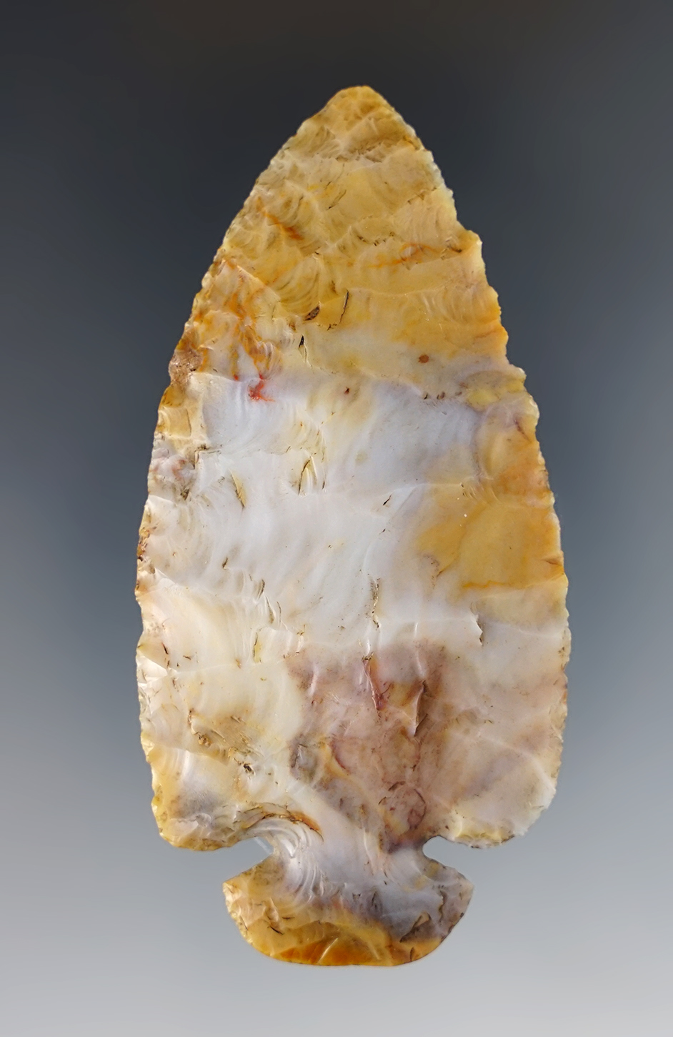 Incredible color on this 3 1/8" Flint Ridge Flint Dovetail. Ohio. Ex. Don Bapst. Pictured.