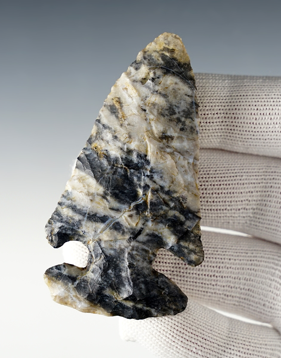 3" highly colored Coshocton Flint Expanded Notch Bevel found in Stark Co., Ohio. Bennett COA.