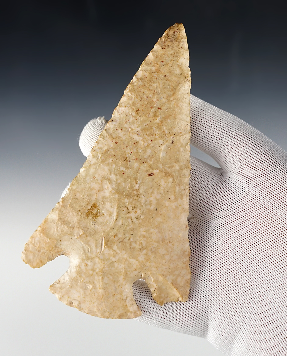 5 7/16" large Hopewell Snyders. Calloway Co., Missouri. Ex. B.W. Stephens. Rogers COA.