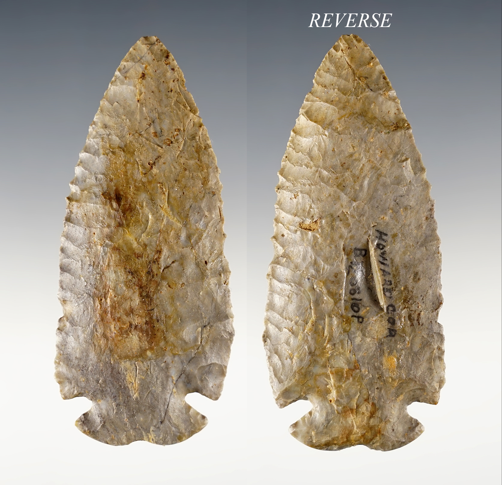 Classic 3 1/4" Ohio Notch-Base Dovetail with excellent flaking and heavy basal grinding. 