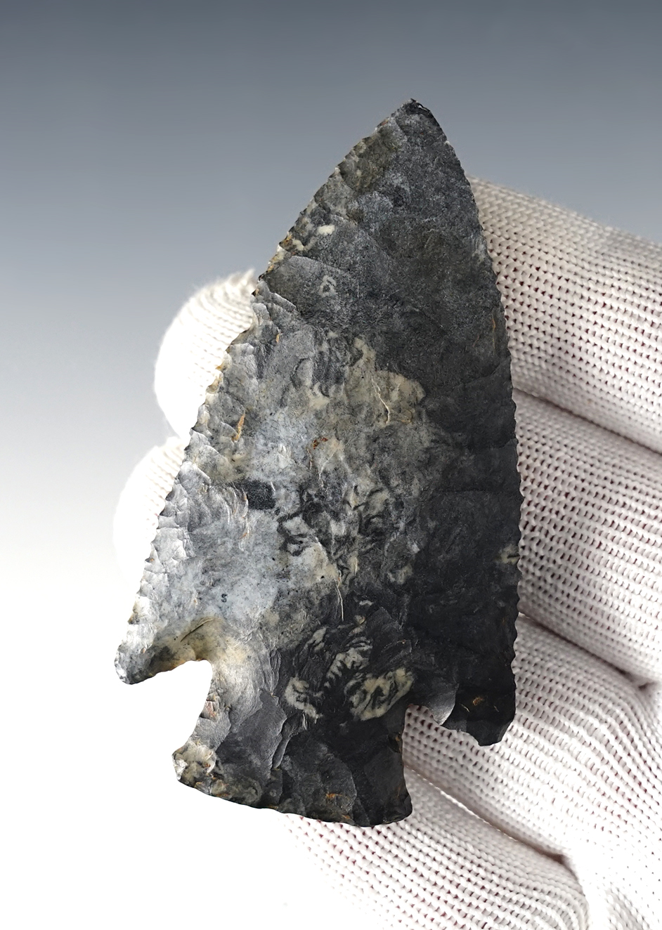 Amazing edgework on this 3 1/16" Hardin found in Knox Co., Illinois. COA's.