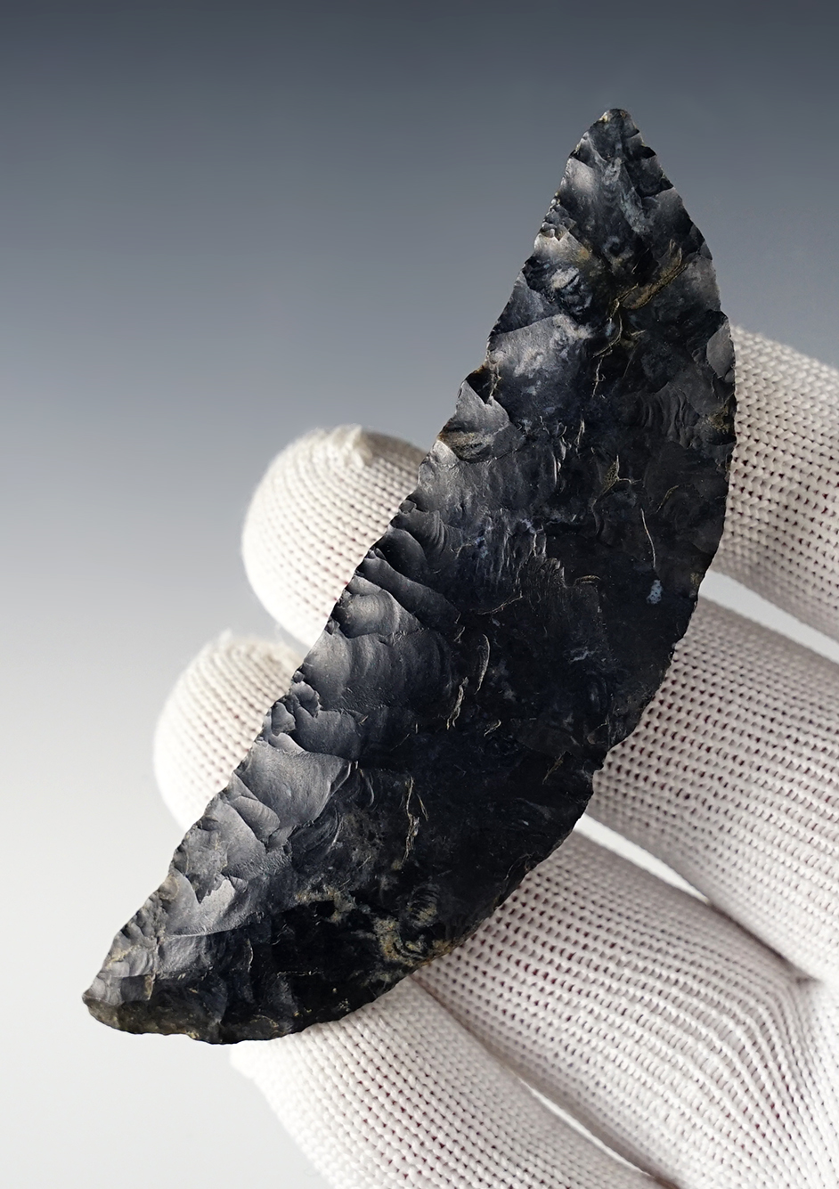 Exceptional 3 9/16" Crescent Paleo Knife found in Richland Co., Ohio. Finely made.