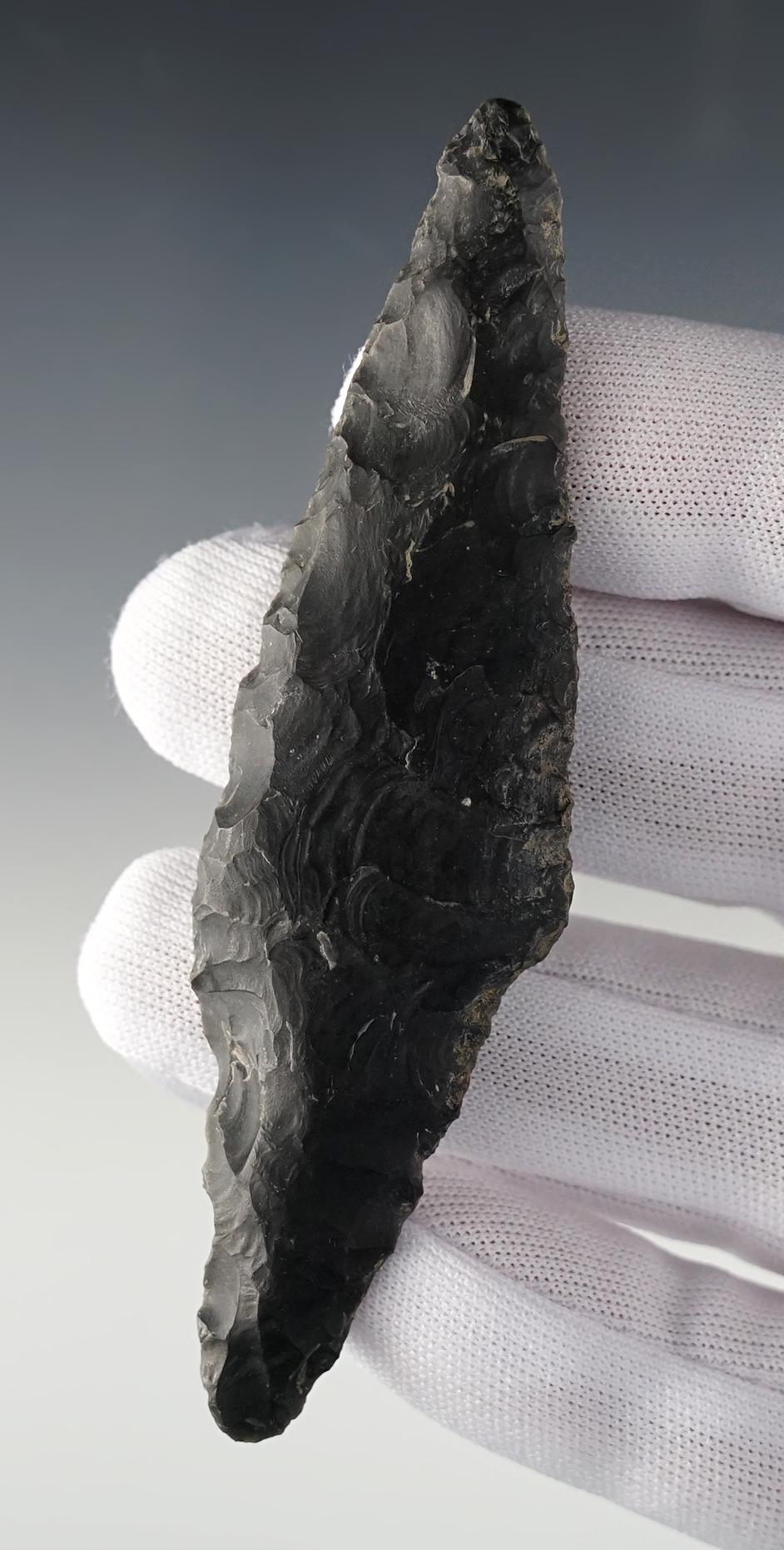 3 7/8" Parman found by Dave Hummell at the Jackson Range Ranch, Humboldt Co., Nevada.