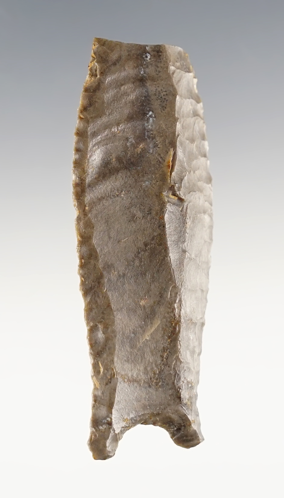 2 3/8" Paleo Cumberland with some tip damage. A classic example. Adair Co., Kentucky.