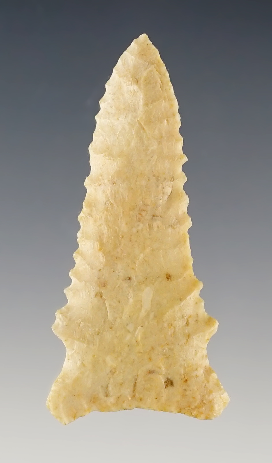 2 3/16" Dalton with fine serrations. Found in Columbia, Missouri. Ex. David Davidson.