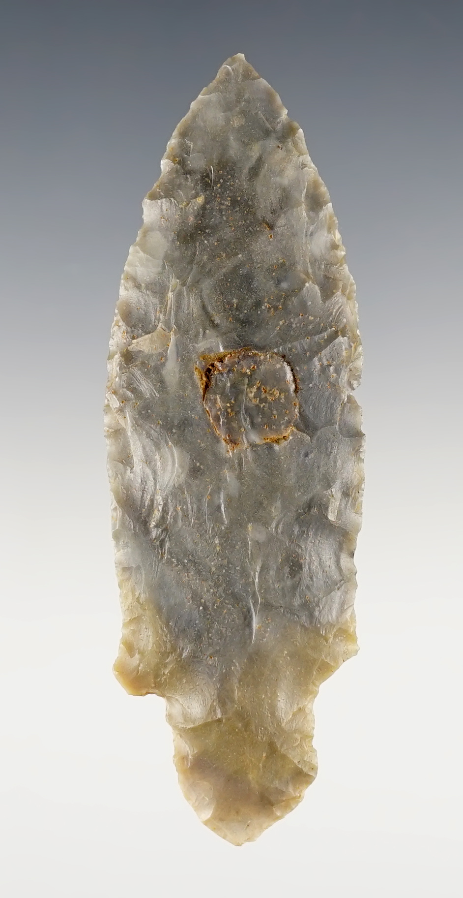 3 9/16" Turkeytail made from beautiful Sonora Flint. Found in Jessamine Co., Kentucky.