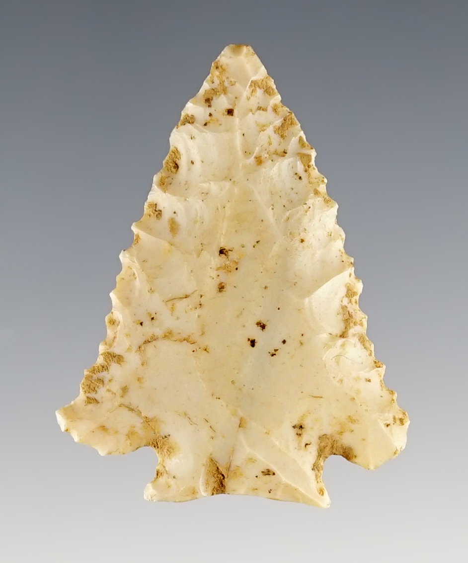 Finely serrated 1 3/4" Decatur Fracture Base - Boyle Chert. Found in Mercer Co., Kentucky.