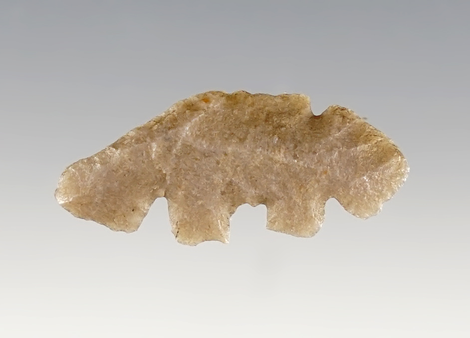 Rare! 1 1/8" Eccentric found in Sweetwater Co., Wyoming.Sugar Quartz. Jeb Taylor COA. 