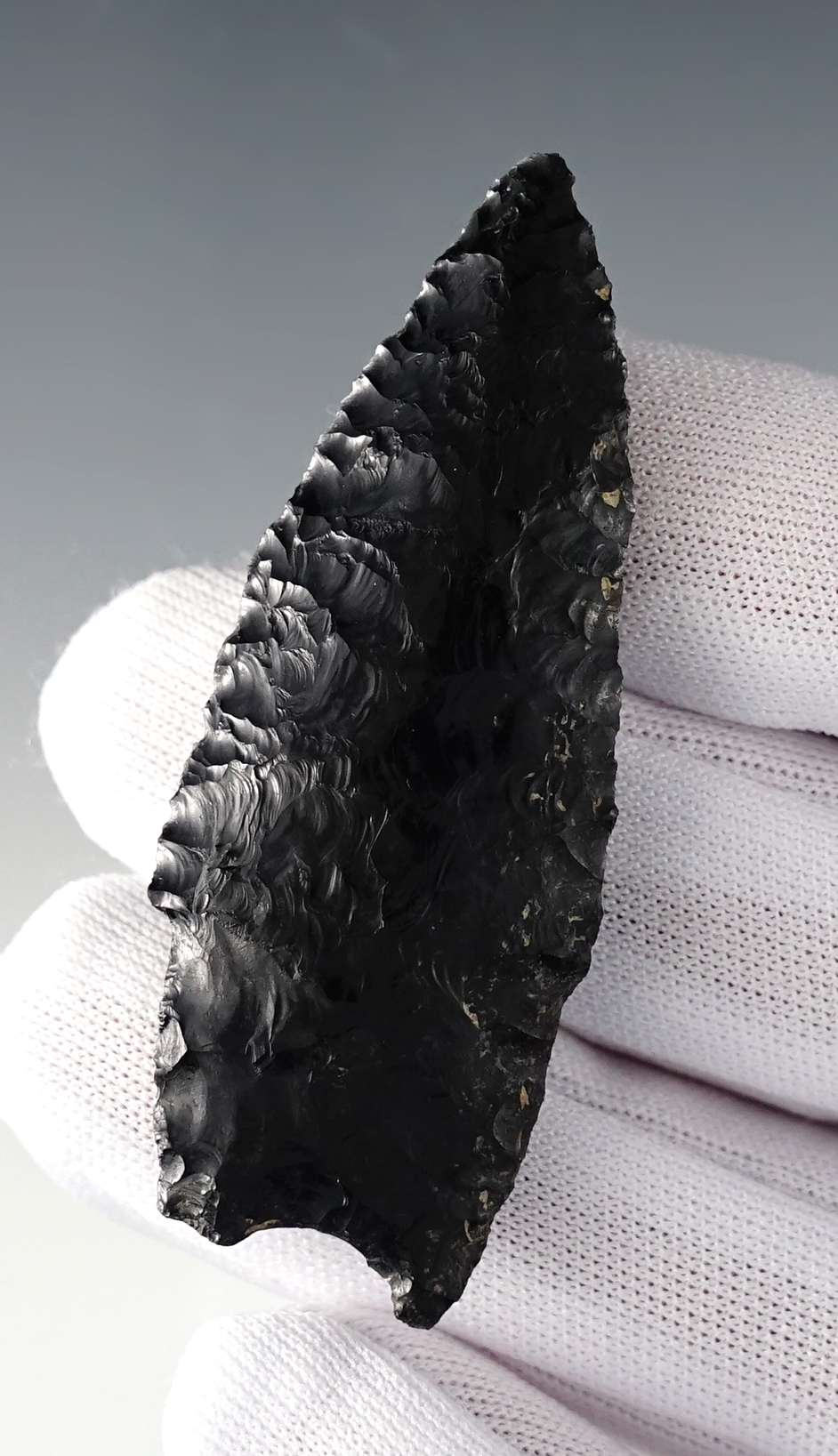 2 1/2" Windust found near Ft. Rock Valley in the 1960's, Lake Co., Oregon. Perino COA.