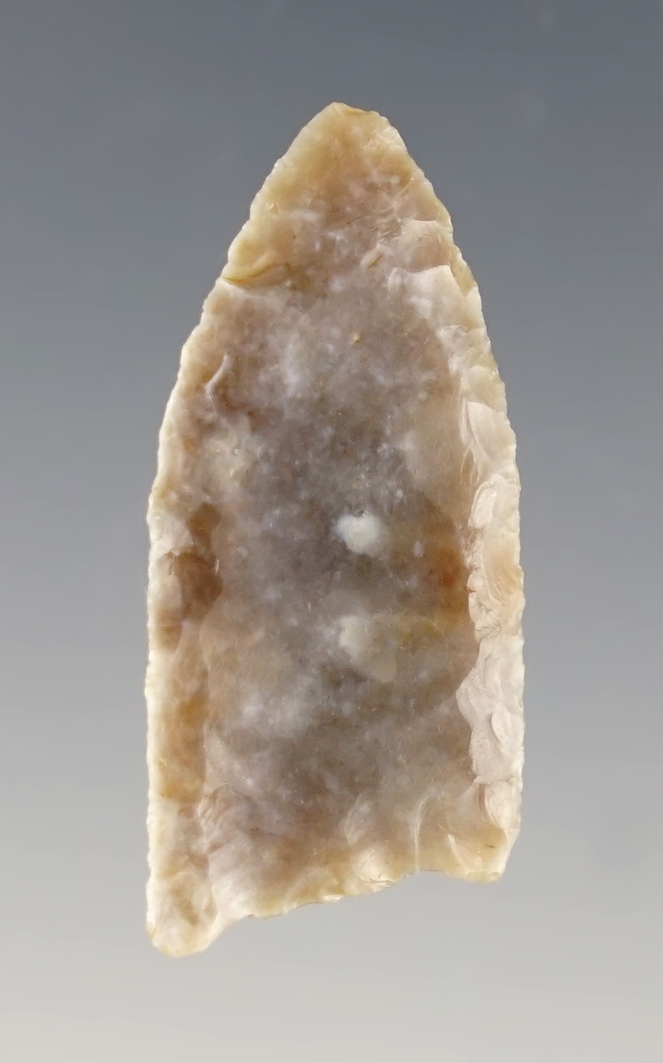 1 5/16" Paleo Folsom found at the Lucy Site, Willard, New Mexico. Perino COA.