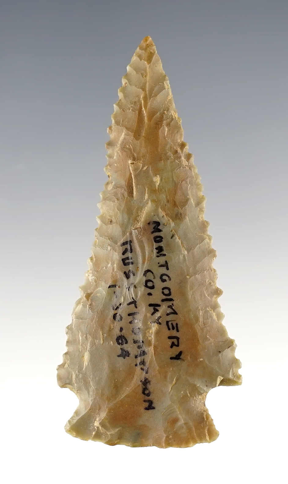 Incredible serrations on this 2 7/16" Archaic Point - Montgomery Co., Kentucky by Russ Thompson.