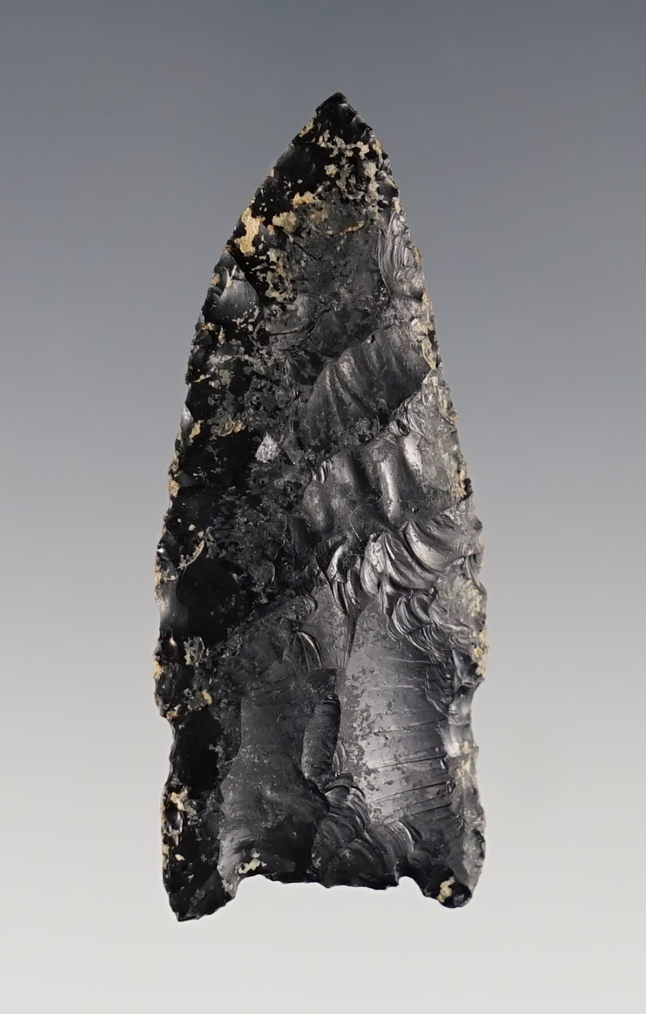 2" Plainview  found in Lake Co., Oregon. Made from well patinated Obsidian. Carlos Black COA.