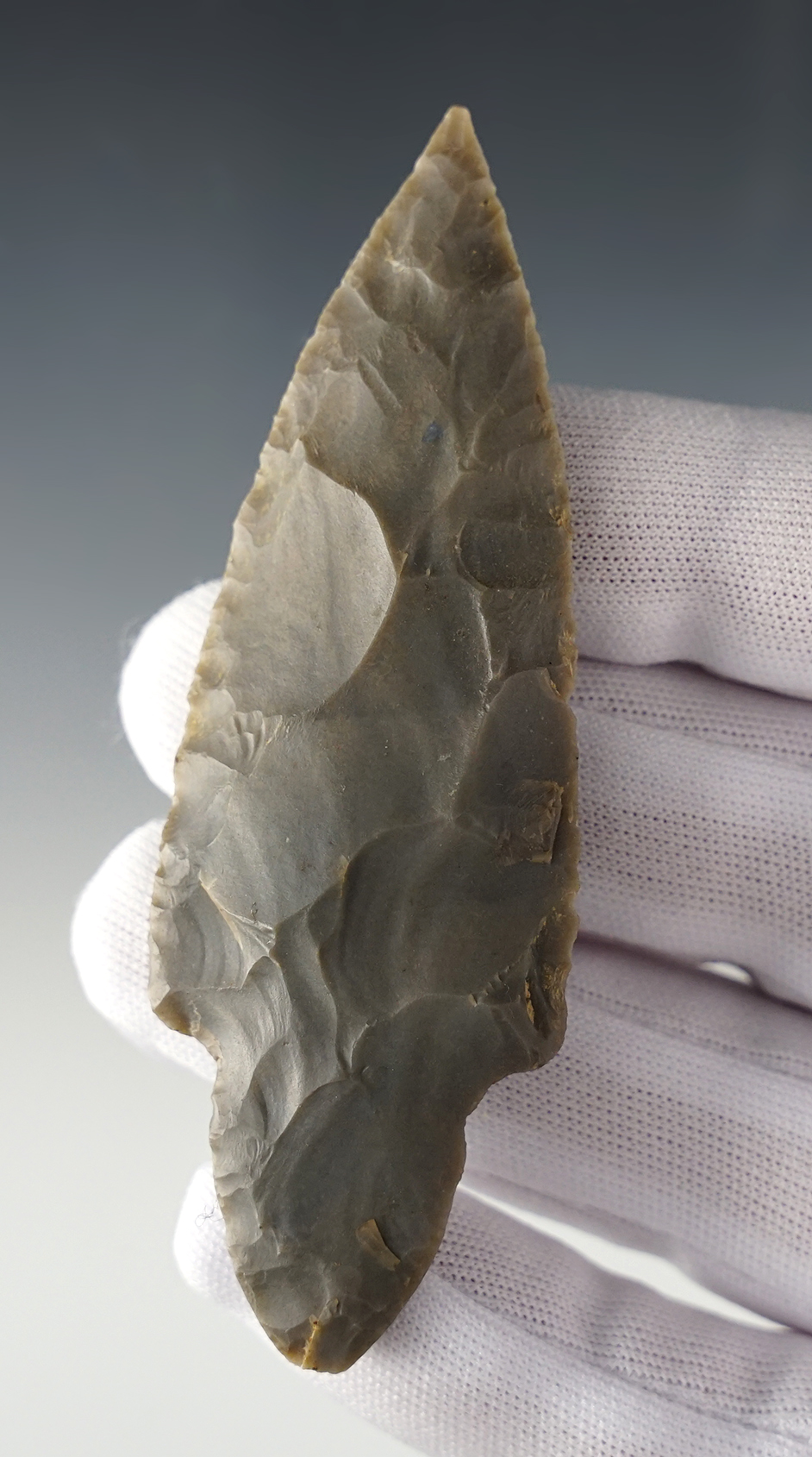 3 3/4" Hebron made from Hornstone with heavy grinding to the stem. Davies Co., Kentucky. 