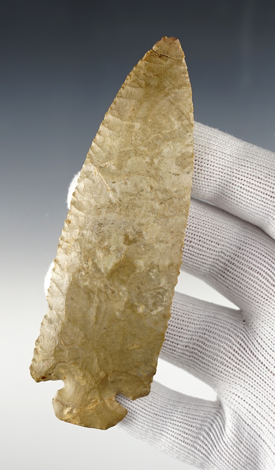 4 9/16" Dover Chert Dovetail with a broken and glued tip. Jessamine Co., Kentucky.