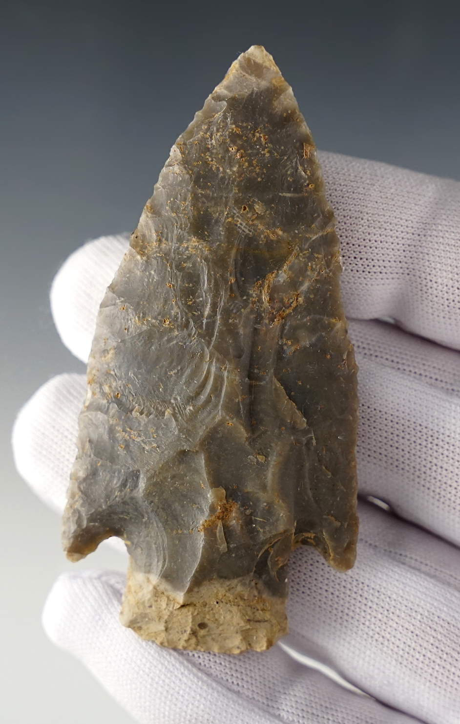 Nice 3 1/16" Delhi found in Gibson Co., Indiana. Ex. Greg Perino.