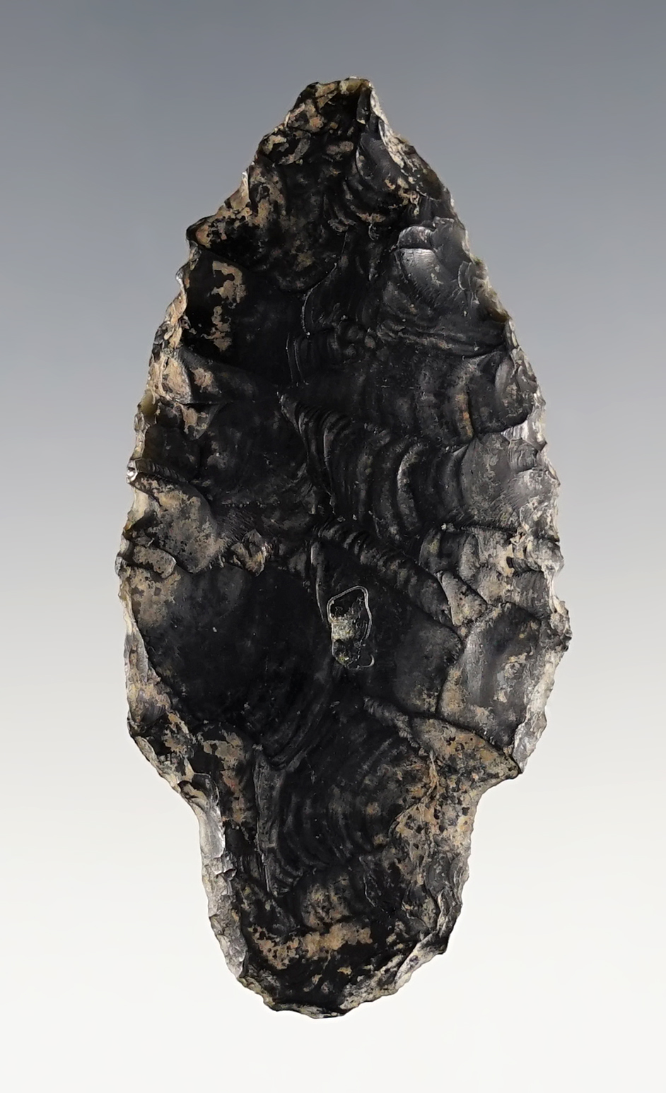 2 7/16" Parman found in Southern Idaho. Ex. Jack Richardson. Comes with a Stermer COA.