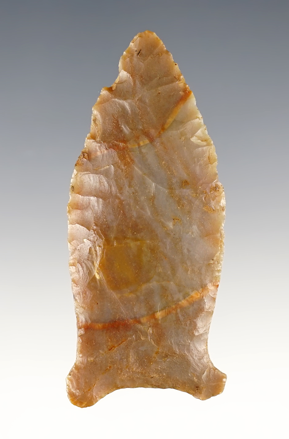 2 5/8" Paleo Beaver Lake - beautifully colored Carter Cave Flint. Jessamine Co., Kentucky.