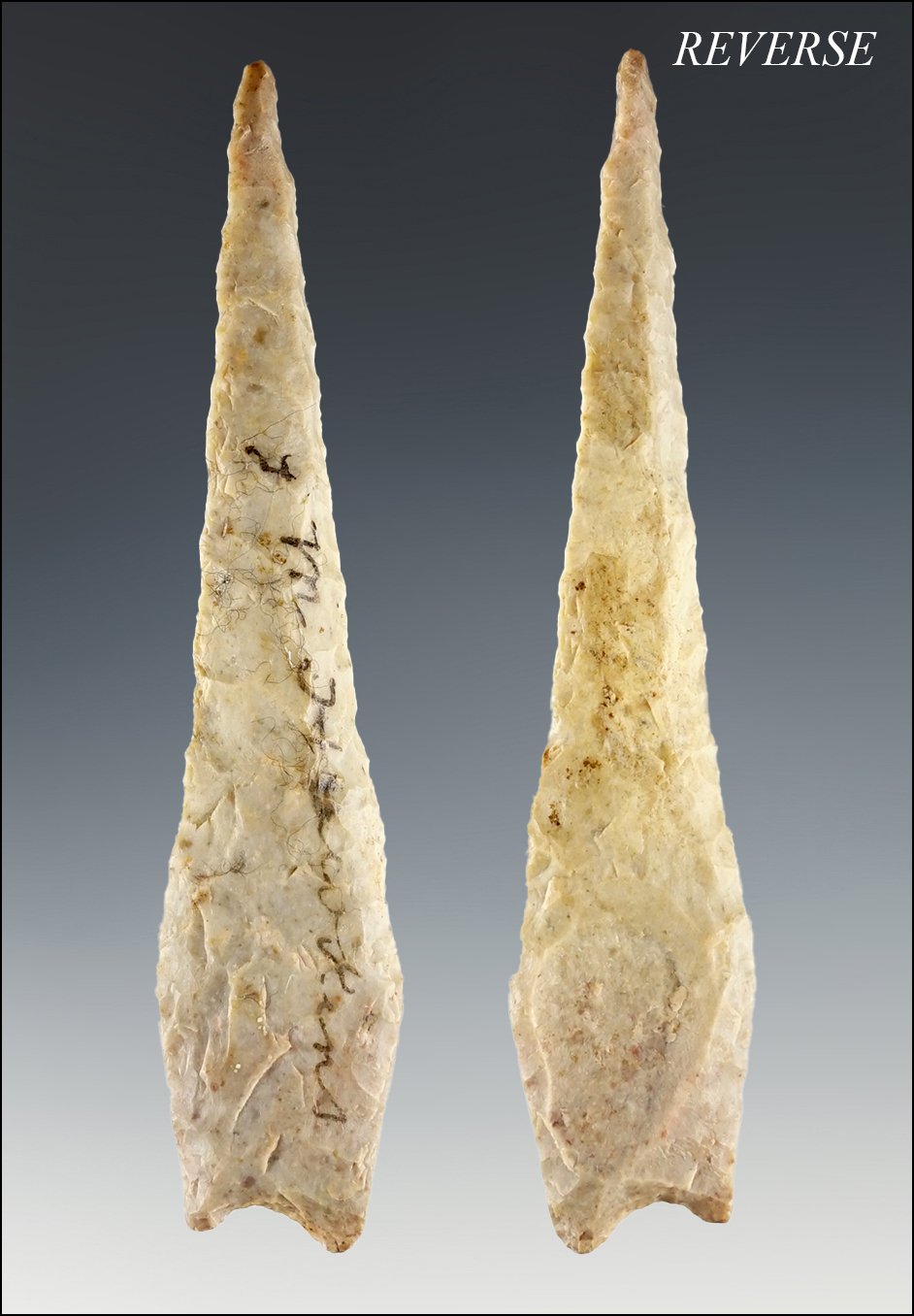 3 3/8" Angostura found in Texas. 