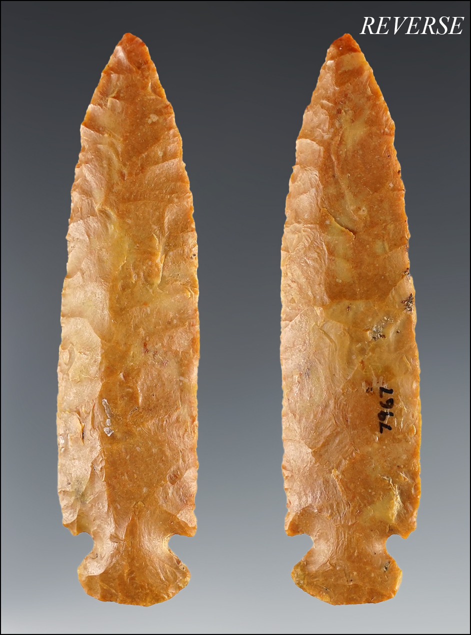 Nice! 3 5/16" Flint Creek point found by Charlie Long near Blue Lick Springs, Nicholas Co., KY