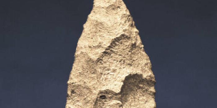 Archeulian hand axe
