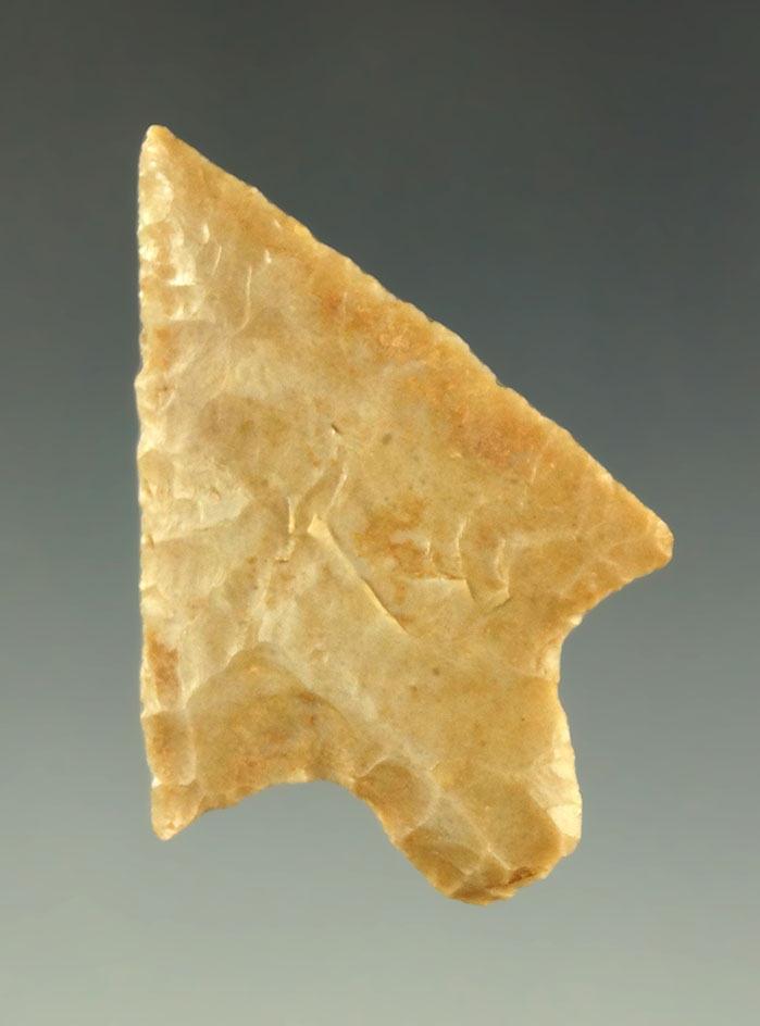 1 3/4" Langtry point found in Texas that is very well styled in nice condition. Ex.Shewey. COA.