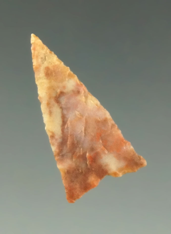 13/16" Cottonwood Triangle - California. Ex. Charles Shewey collection. Davis G-10 COA.